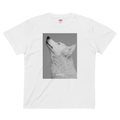 urday【Animal／White Dog／WB】フォトTシャツ（8202181）ホワイト/urday（マミアン）